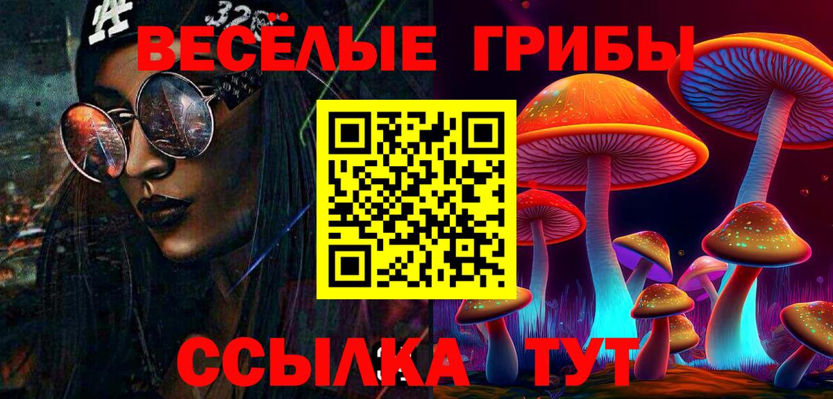 Псилоцибиновые грибы MAGIC MUSHROOMS  Псилоцибиновые грибы MAGIC MUSHROOMS  Вход с VPN  Мурманск 
